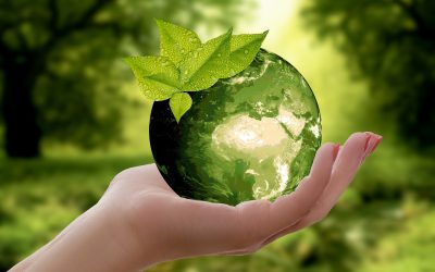 10 Ways to Promote Sustainability in Facilities Management